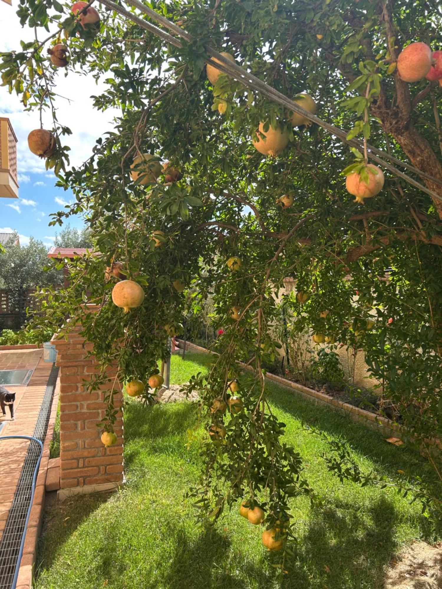 B&B Villa Maria Catanzaro Exterior photo